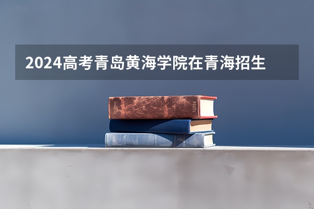 2024高考青岛黄海学院在青海招生计划