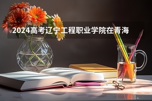 2024高考辽宁工程职业学院在青海招生计划