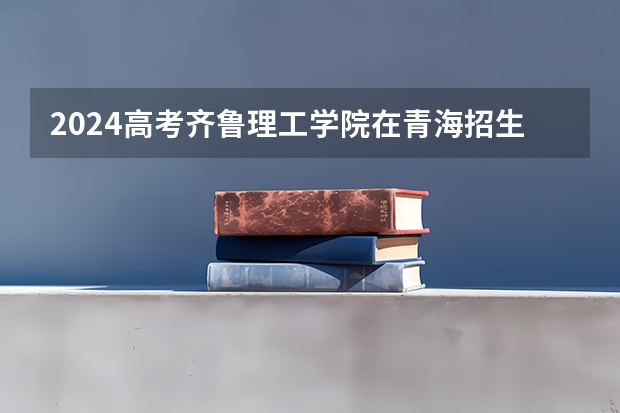 2024高考齐鲁理工学院在青海招生计划