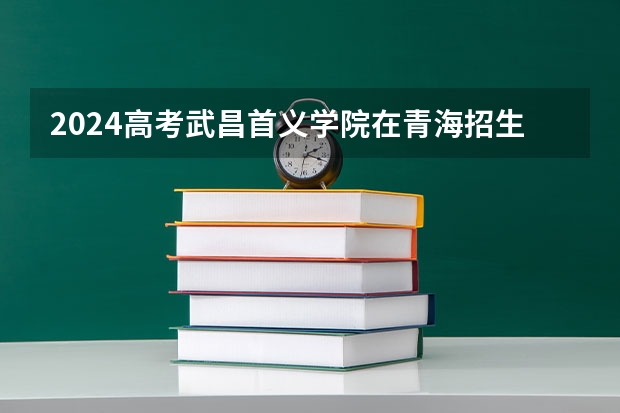 2024高考武昌首义学院在青海招生计划
